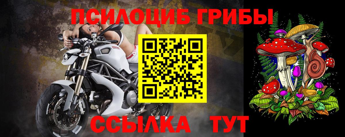 Галлюциногенные грибы GOLDEN TEACHER  Вход с VPN  Орёл  цена наркотик  Галлюциногенные грибы мухоморы 